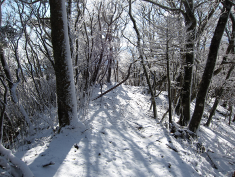 20191129hike (319)